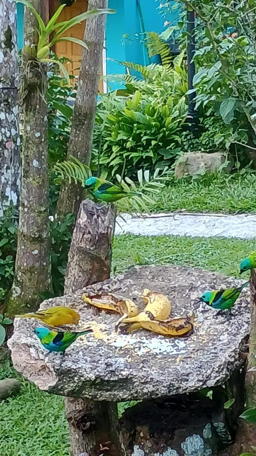 Casa- Chale Recanto Das Sairas Em Paraty Dış mekan fotoğraf